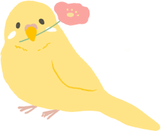 中嶋税理士が飼っているインコ