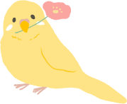 中嶋税理士が飼っているインコ